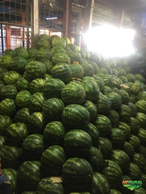 Imagem MELANCIA Imagem MELANCIA