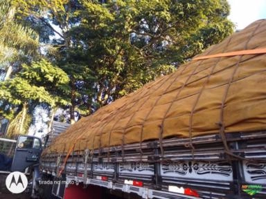 Imagem MELANCIA Imagem MELANCIA