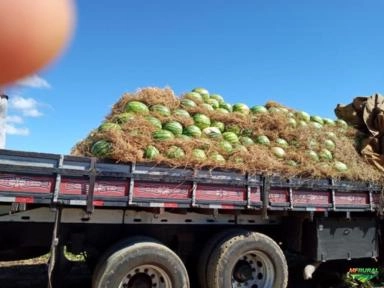 Imagem MELANCIA Imagem MELANCIA