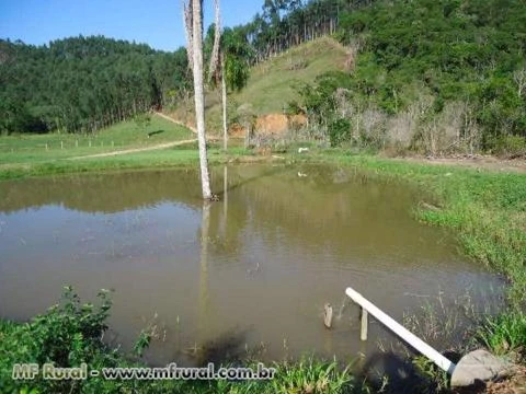 Fazenda ou Sitio Pronta em Tijucas sem detalhes