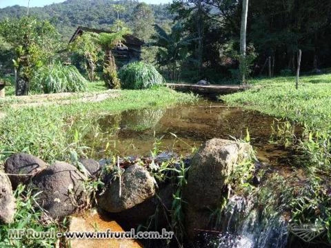 Fazenda ou Sitio Pronta em Tijucas sem detalhes