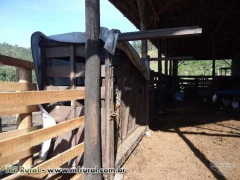 Fazenda ou Sitio Pronta em Tijucas sem detalhes