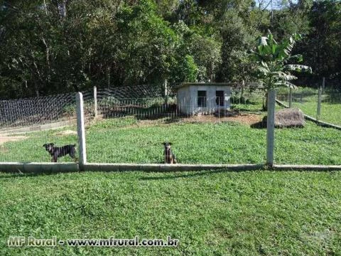 Fazenda ou Sitio Pronta em Tijucas sem detalhes