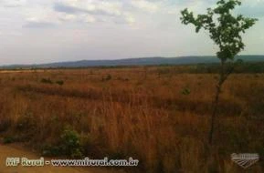 Fazenda à venda em Nova Brasilandia/MT