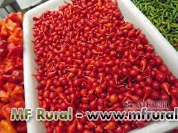 Pimenta Biquinho Doce Imagem Pimenta Biquinho Doce