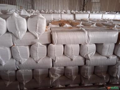 Imagem CASCA DE ARROZ Imagem CASCA DE ARROZ