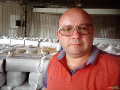 Imagem CASCA DE ARROZ Imagem CASCA DE ARROZ