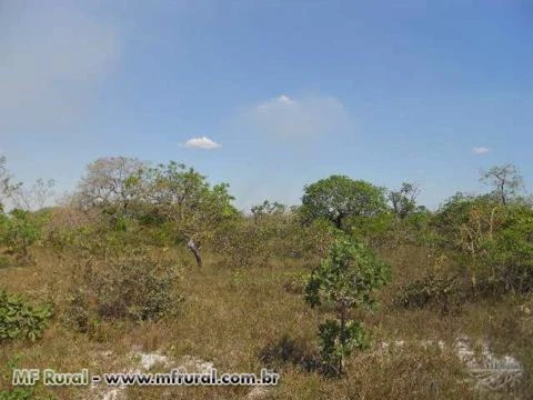 Fazenda em Arinos - MG