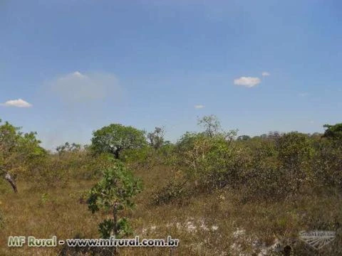 Fazenda em Arinos - MG