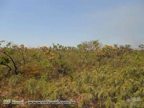 Fazenda em Arinos - MG