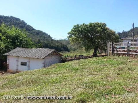 Fazenda próxima a Santos Dumont-MG, 63 alqueires