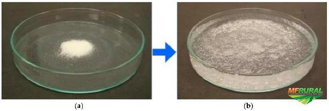 Polimero Gel Superabsorvente de Agua