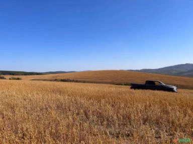 Fazenda de cereais em Andrelândia