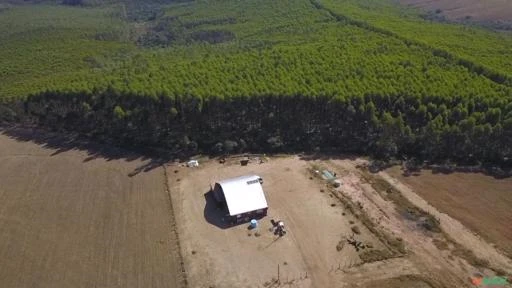 Fazenda de cereais em Andrelândia