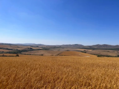 Fazenda de cereais em Andrelândia