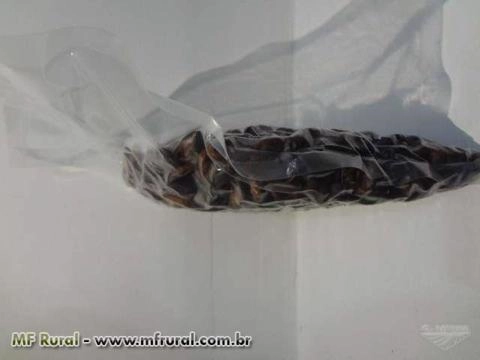 Imagem Amêndoas de Cacau embaladas a vácuo, enviamos para todo Brasil Imagem Amêndoas de Cacau embaladas a vácuo, enviamos para todo Brasil