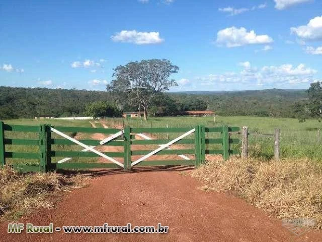 Fazenda 17 alqueires, asfalto, rio, 6 km centro Ipameri-GO