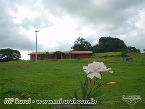 Hotel fazenda para arrendamento próximo a São Carlos SP