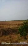 Fazenda em Tocantins