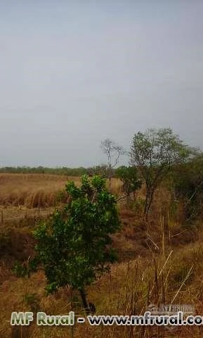 Fazenda em Tocantins