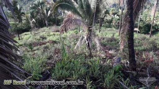 Fazenda na Região de Recursolândia, Tocantins