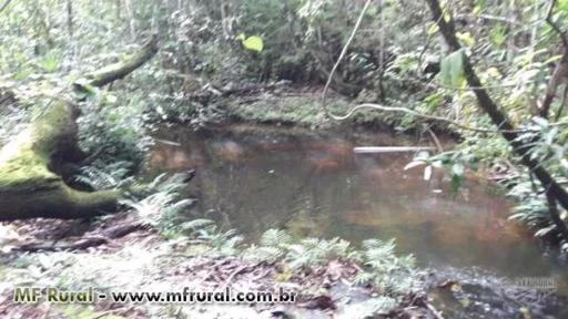 Fazenda na Região de Recursolândia, Tocantins