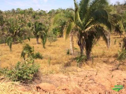 Fazenda na Região de Recursolândia, Tocantins