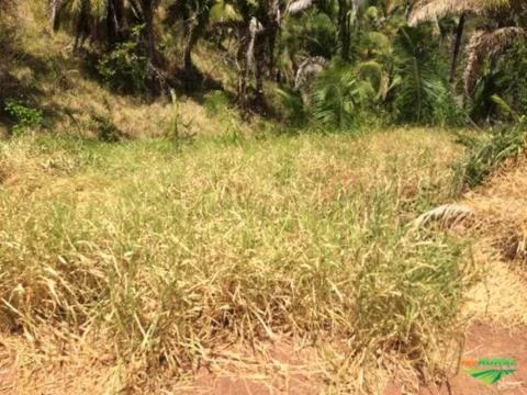 Fazenda na Região de Recursolândia, Tocantins