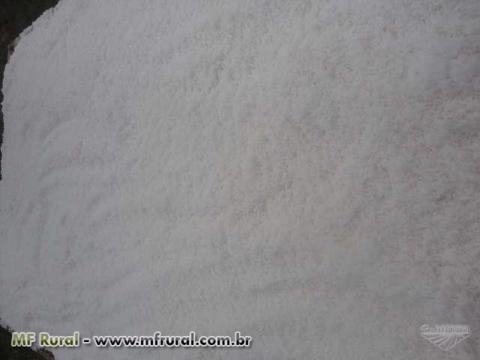 Flor do sal Imagem Flor do sal