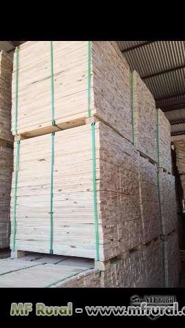 COMPRO MADEIRA SERRADA DE PINUS KD, TORAS DE PINUS E EUCALIPTO Imagem COMPRO MADEIRA SERRADA DE PINUS KD, TORAS DE PINUS E EUCALIPTO