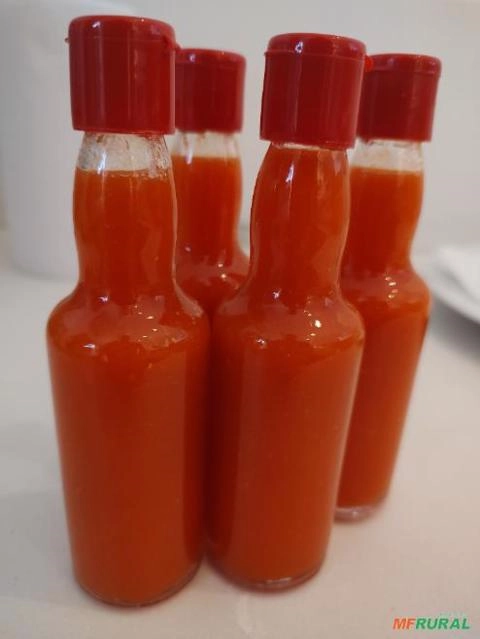 Molho de Pimenta alta qualidade. Imagem Molho de Pimenta alta qualidade.