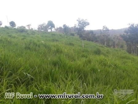 FAZENDA CAJAZEIRA EM VALENÇA / BA