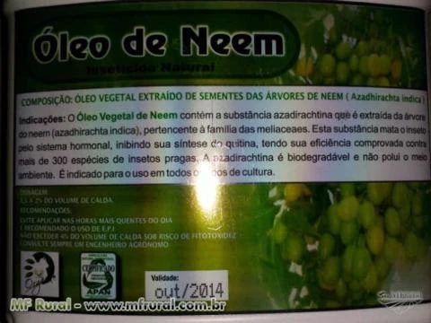 ÓLEO DE NEEM PURO - INSETICIDA NATURAL (com a maior Concentração do Mercado)