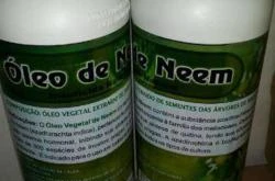 ÓLEO DE NEEM PURO - INSETICIDA NATURAL (com a maior Concentração do Mercado)
