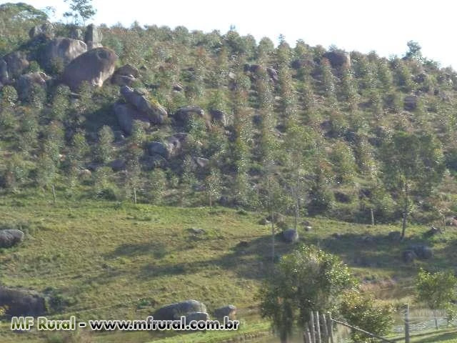 Pequena Fazenda com 47 hectares em Santa Catarina