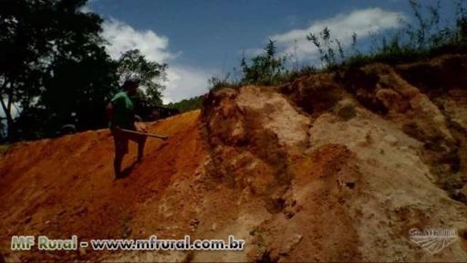 Capim Vetiver Contenção de Encostas e Taludes Imagem Capim Vetiver Contenção de Encostas e Taludes