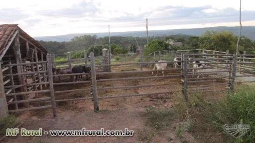 Sítio Pau de VInho, Proximo a Carbonita