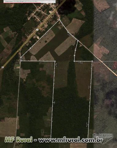 Terreno com Pasto e Casa entre Capanema/Tracuateua (Pará) com 800.000m2