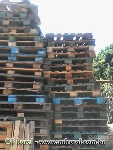 Pallets usados de madeiras PBR