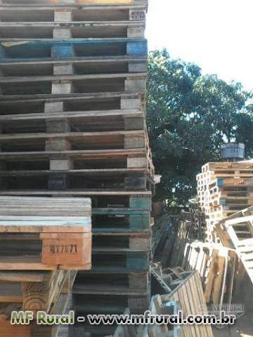 Pallets usados de madeiras PBR. euro pallets  dupla face descartaveis e outros