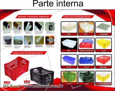 Escovas para Lavagem de Frutas e Legumes Imagem Escovas para Lavagem de Frutas e Legumes