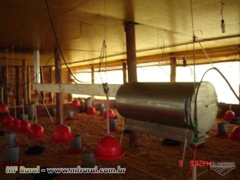 Aquecedores para Granja Imagem Aquecedores para Granja