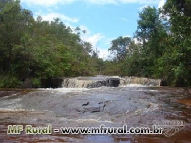 Vende-se fazenda com alto potencial produtivo