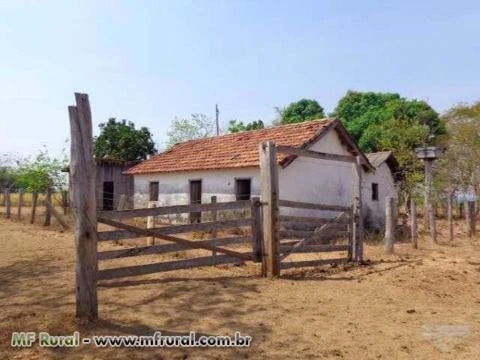 Faz. a venda 106 alqueires, terra de BACURI no Pará!