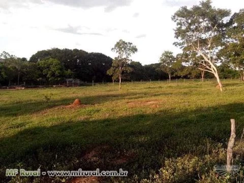 Chácaras com mais de 3700 metros, as margens do Rio Abeté, Três Marias MG