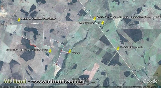 720 hectares em Chapadão do Sul - Cassilândia