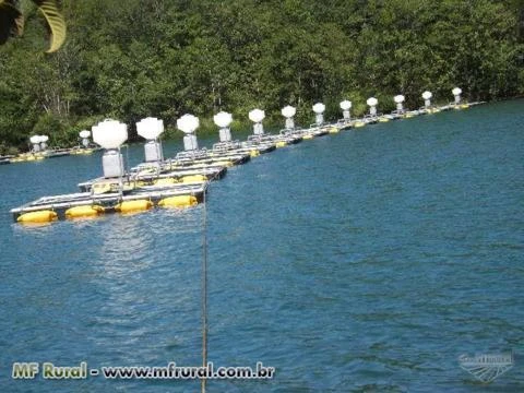 Tanque Rede de Alumínio para Criação de Peixe