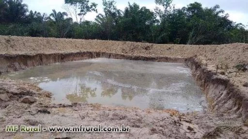 Fazenda ideal para criação de gado