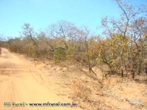 FAZENDA COM ÁREA DE SERRADO OU PARA COMPENSAÇÃO AMBIENTAL - BIOMA DO RIO SAO FRANCISCO