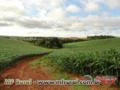 FAZENDA NA REGIÃO DE CAPÃO BONITO - SP